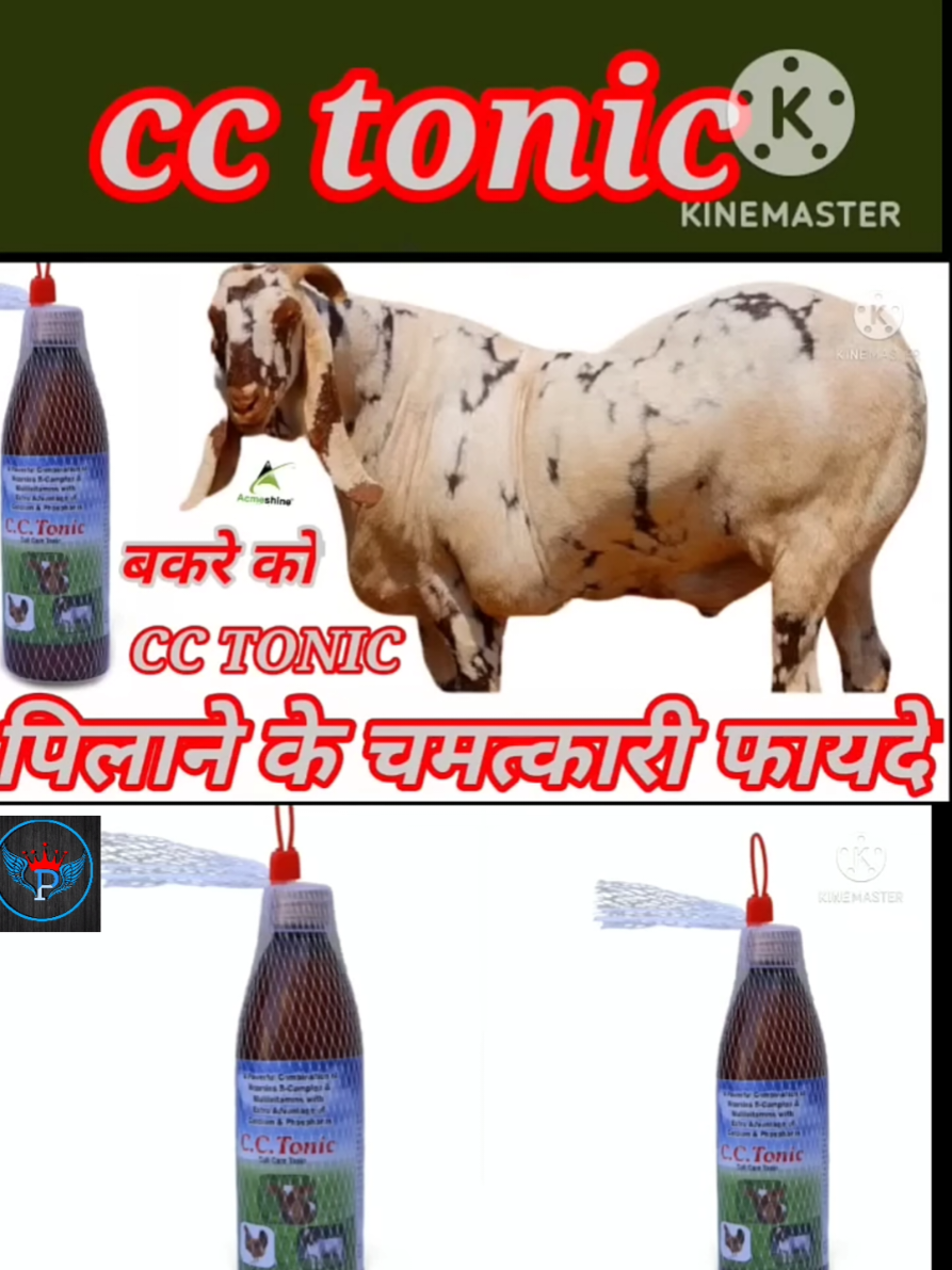 @Prajapati Agro Vet