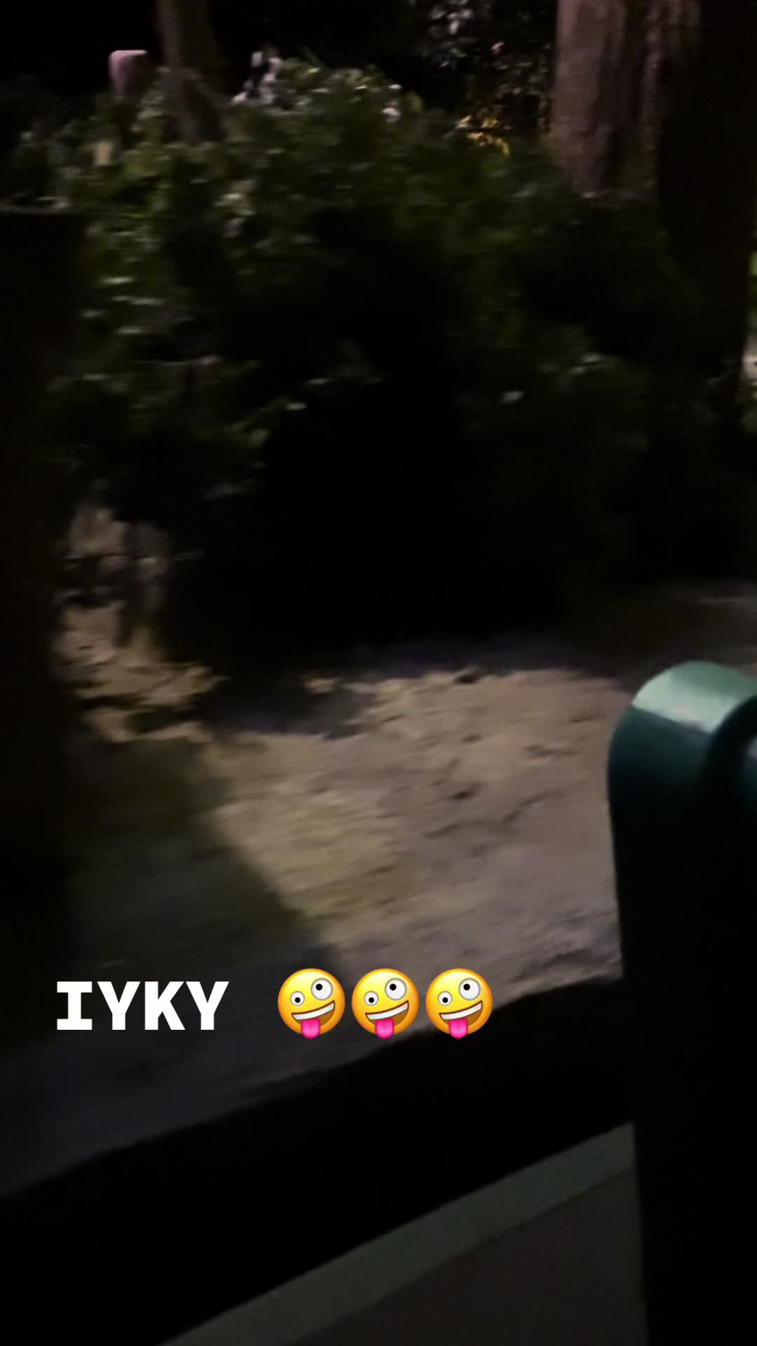 @haleyccase
