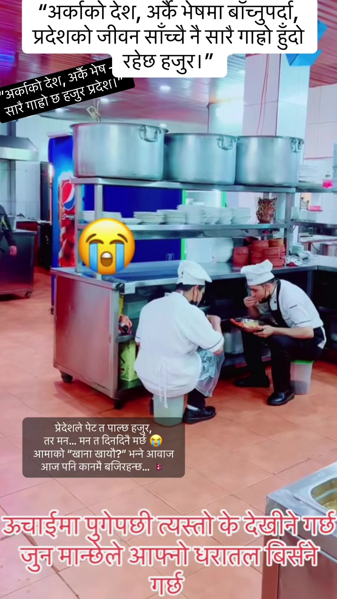 @chefms7