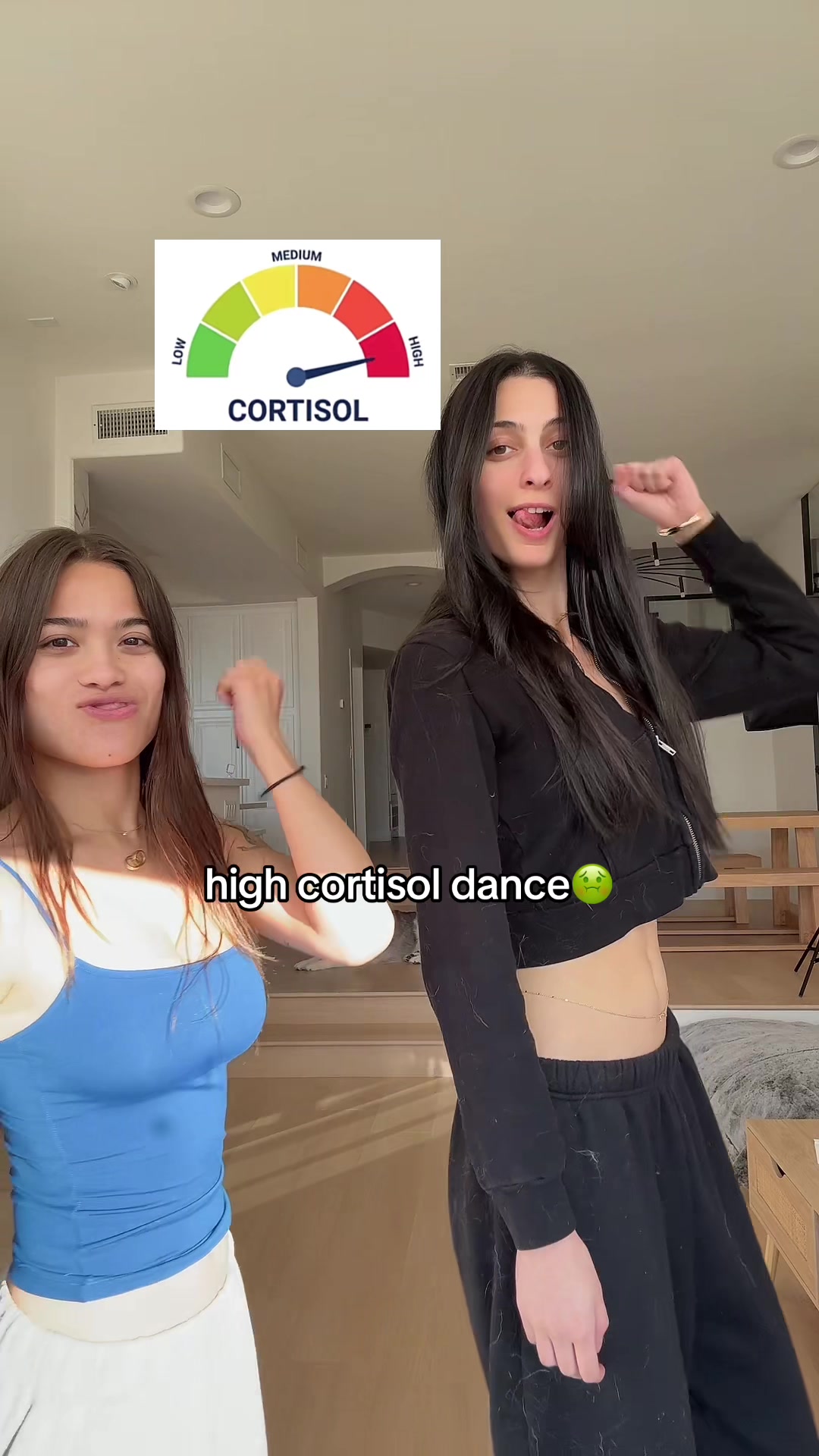 @mimi