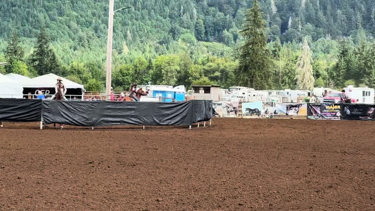 @TF Performance Horses