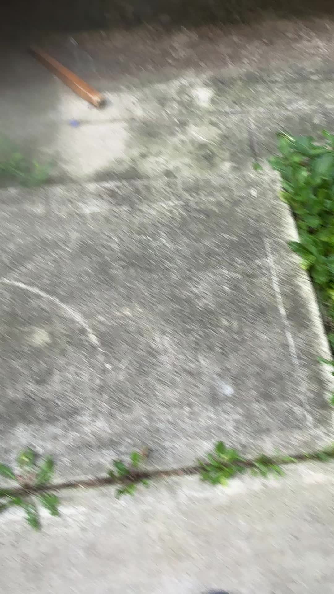 @𝕰𝖓𝖛𝖔𝖞𝖑 ♱