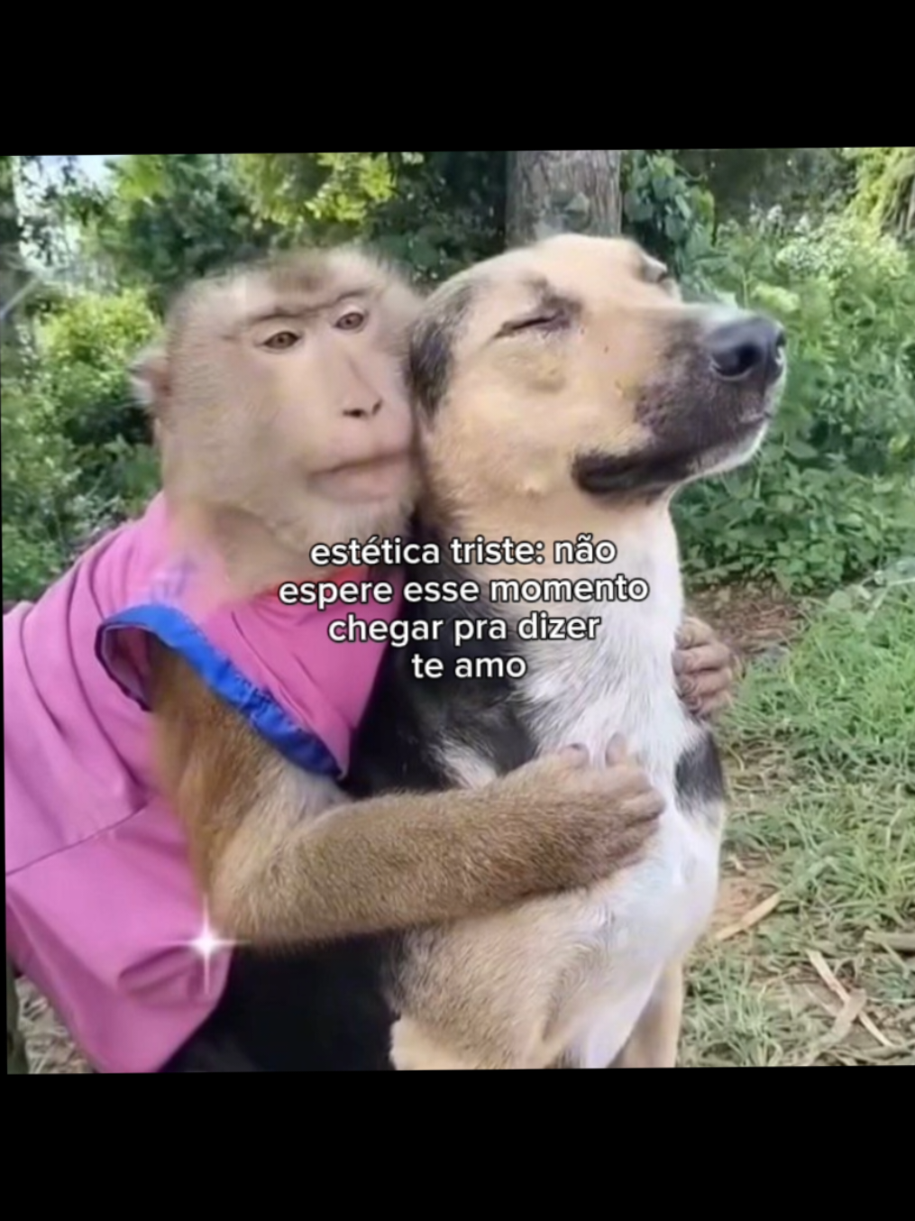 @🌷𝗞🩰