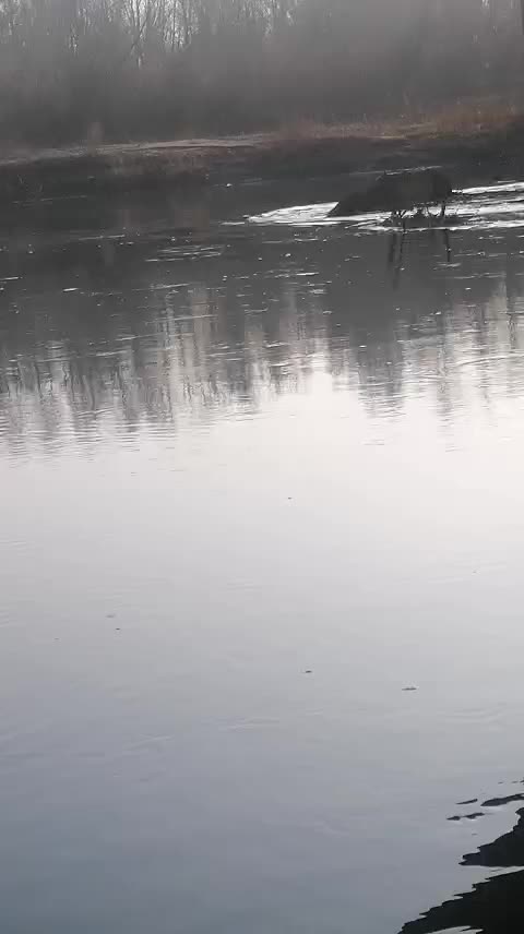 @Николай Боленко