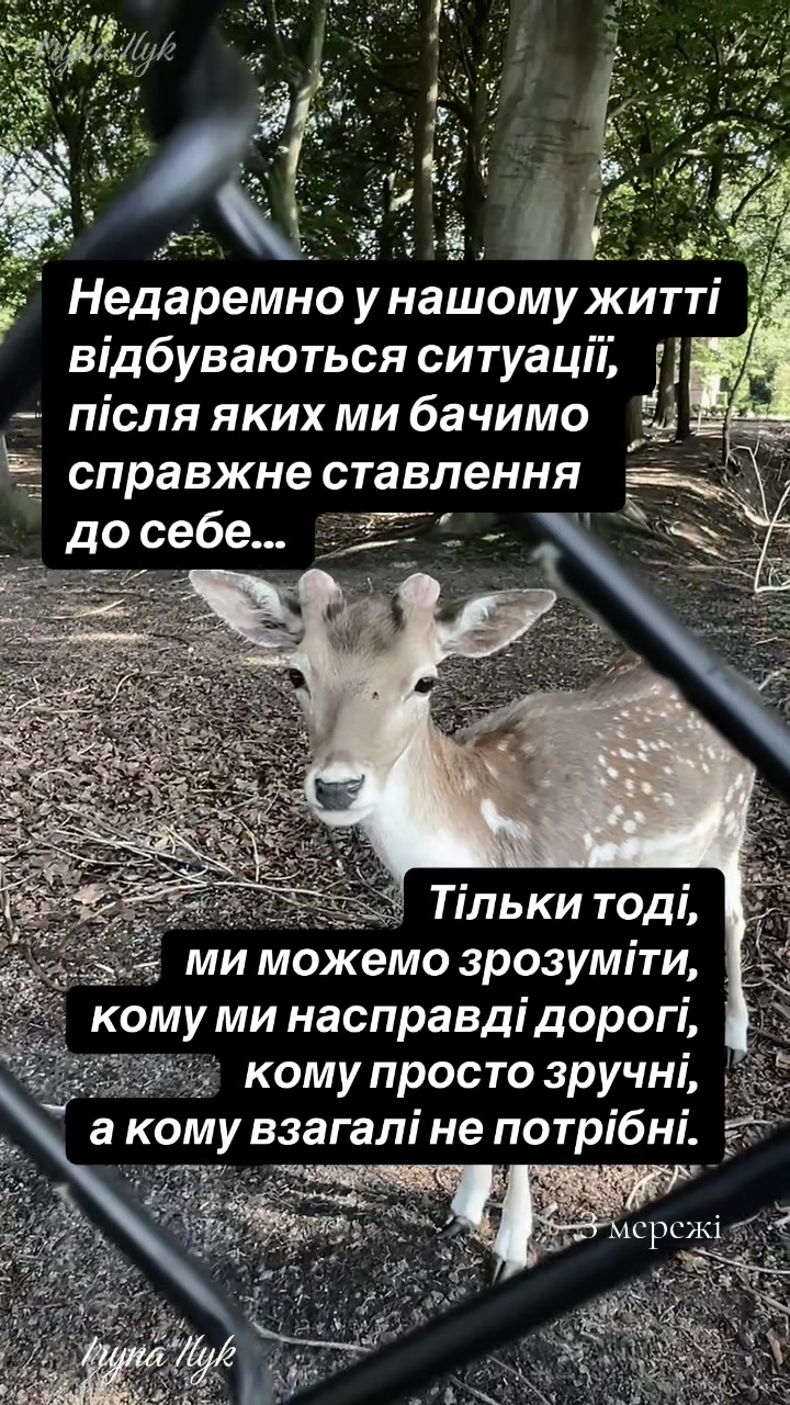 @iriso4ka_ilyk