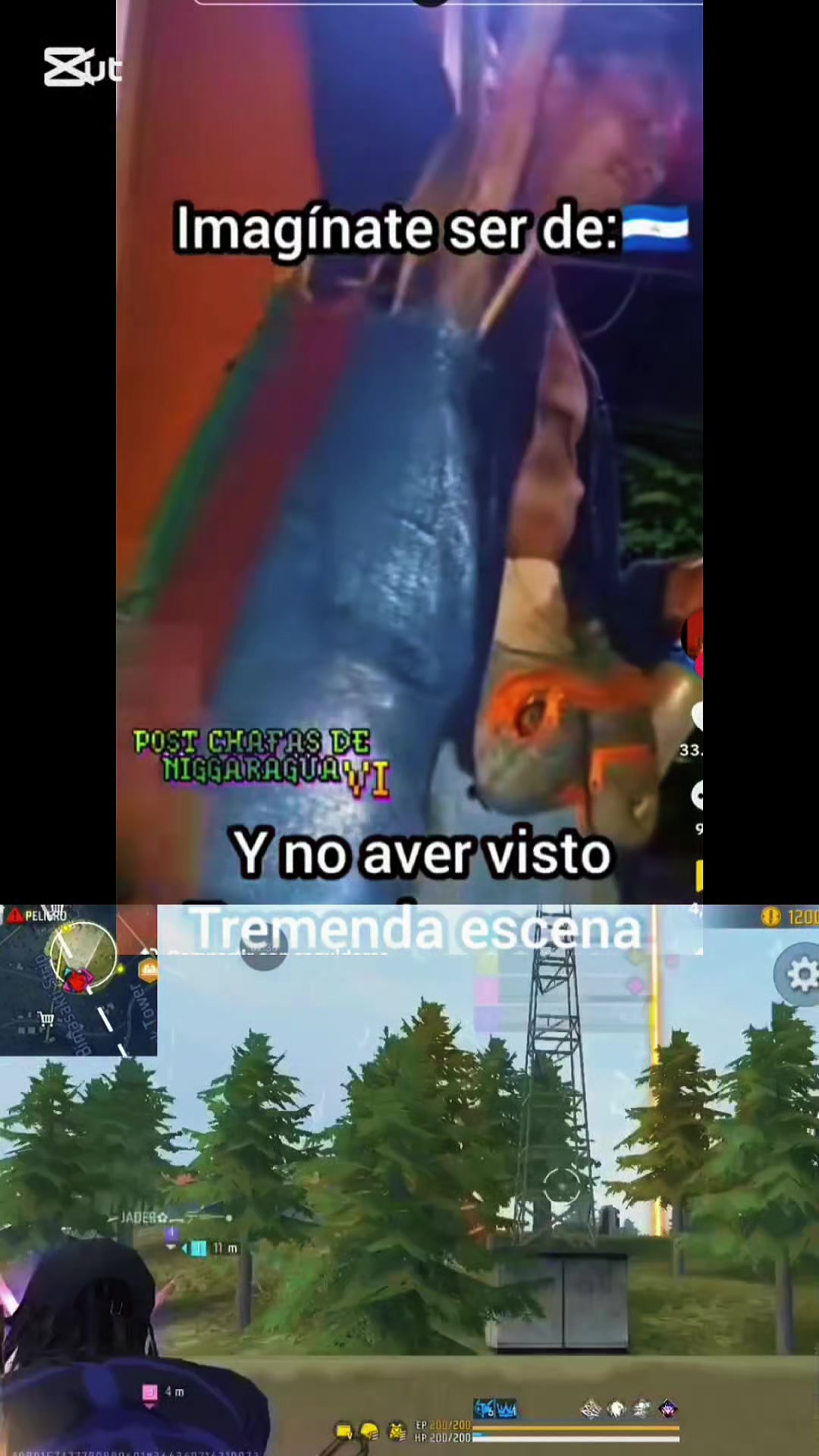@Elchingon1945🇳🇮..FF.✅️