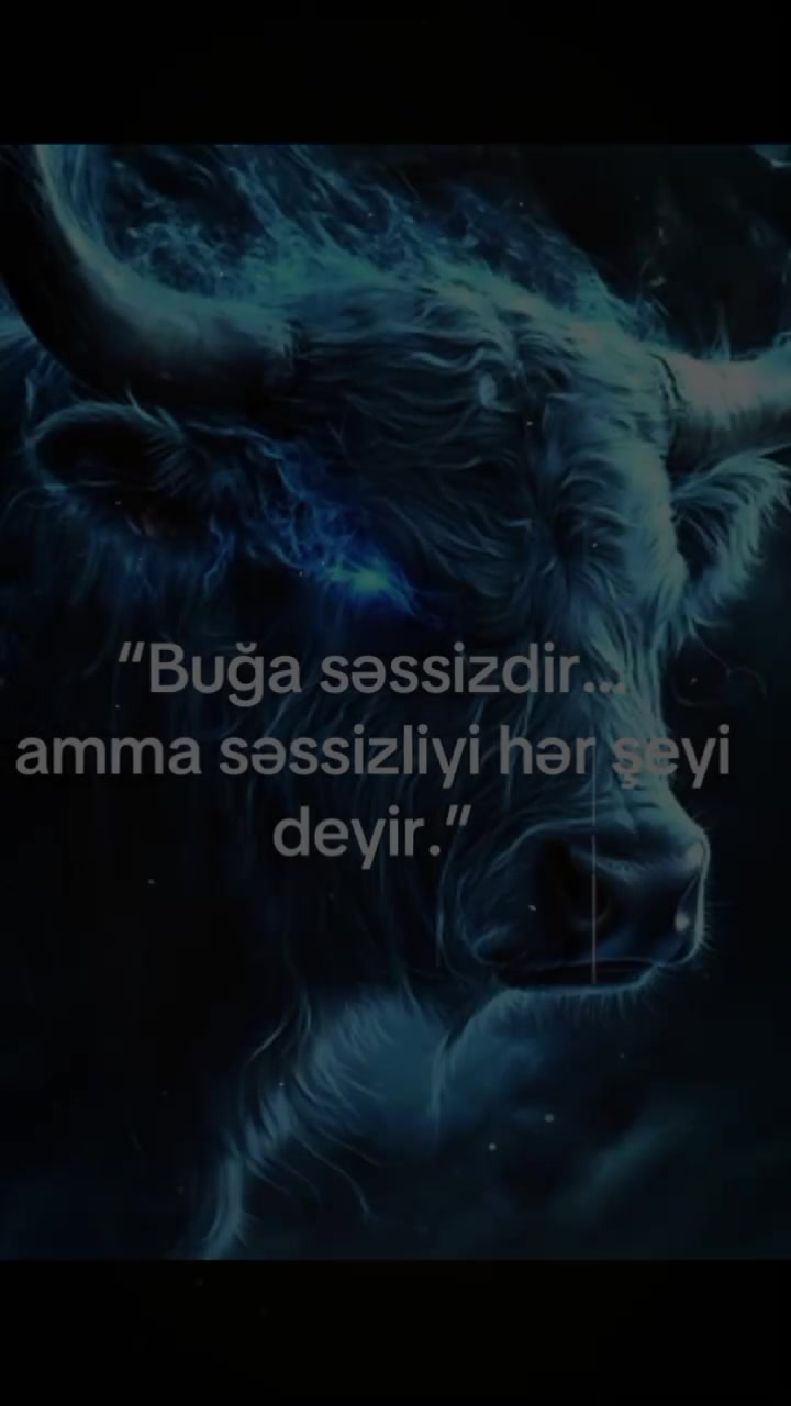 @Aqil_Raxmanov.🤘