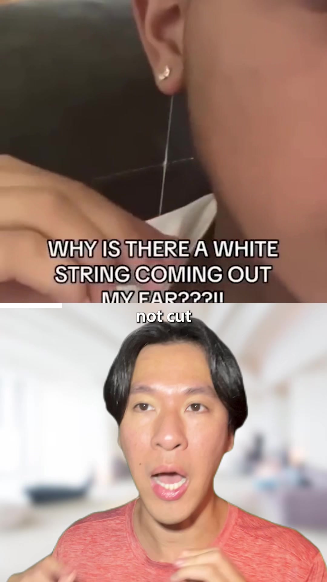 @DAVE DISCI
