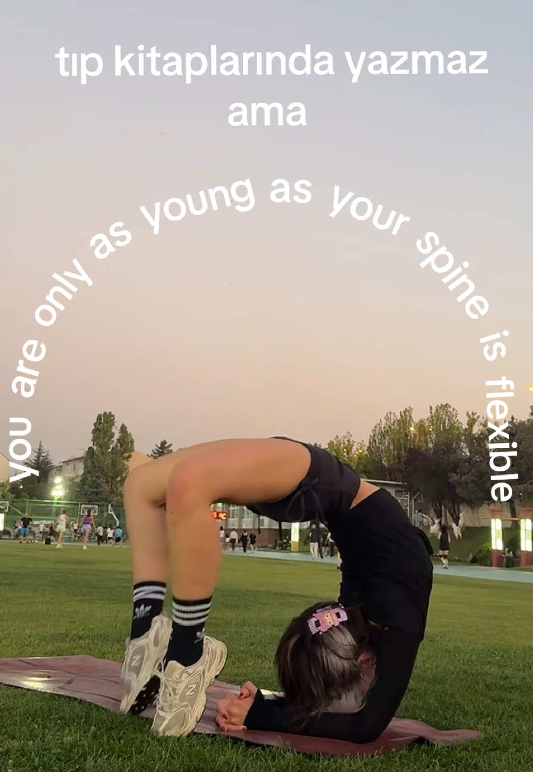 @sebnenn