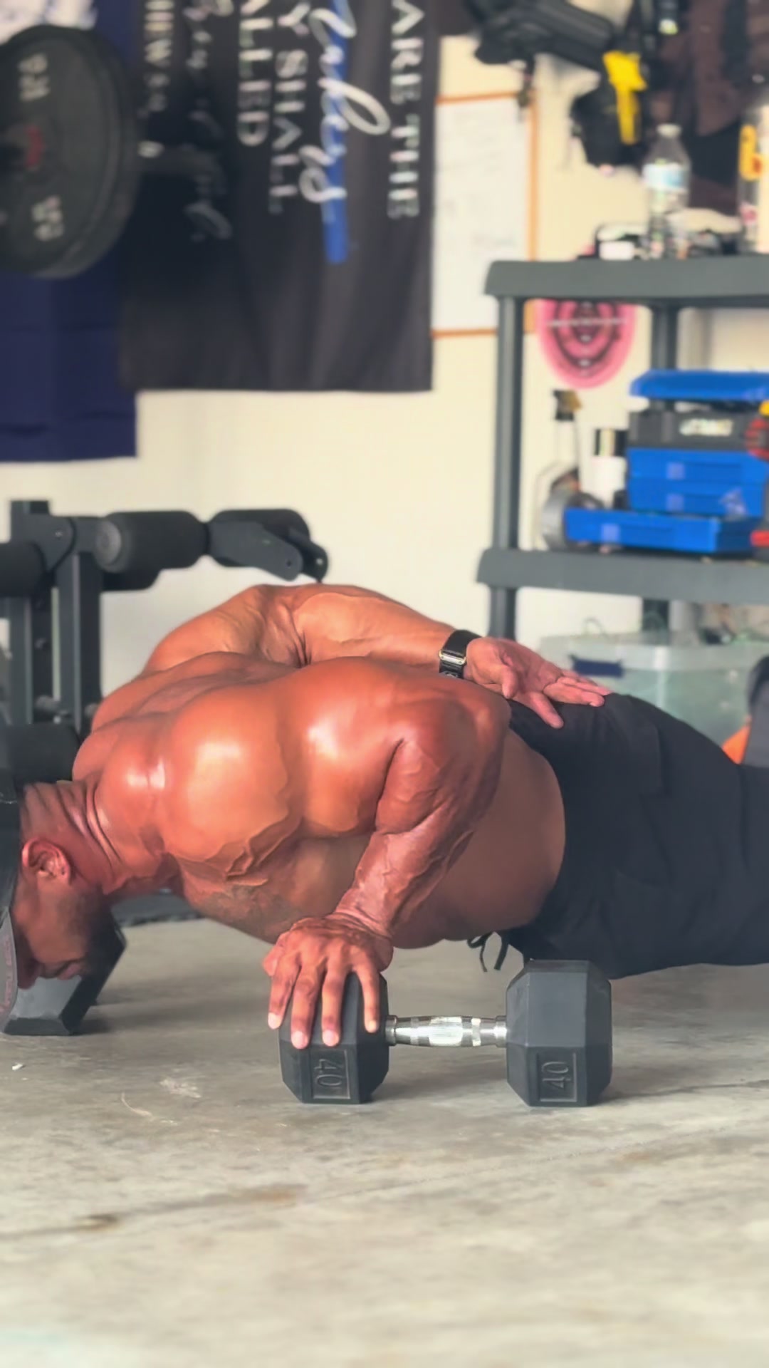@Campus Muscle