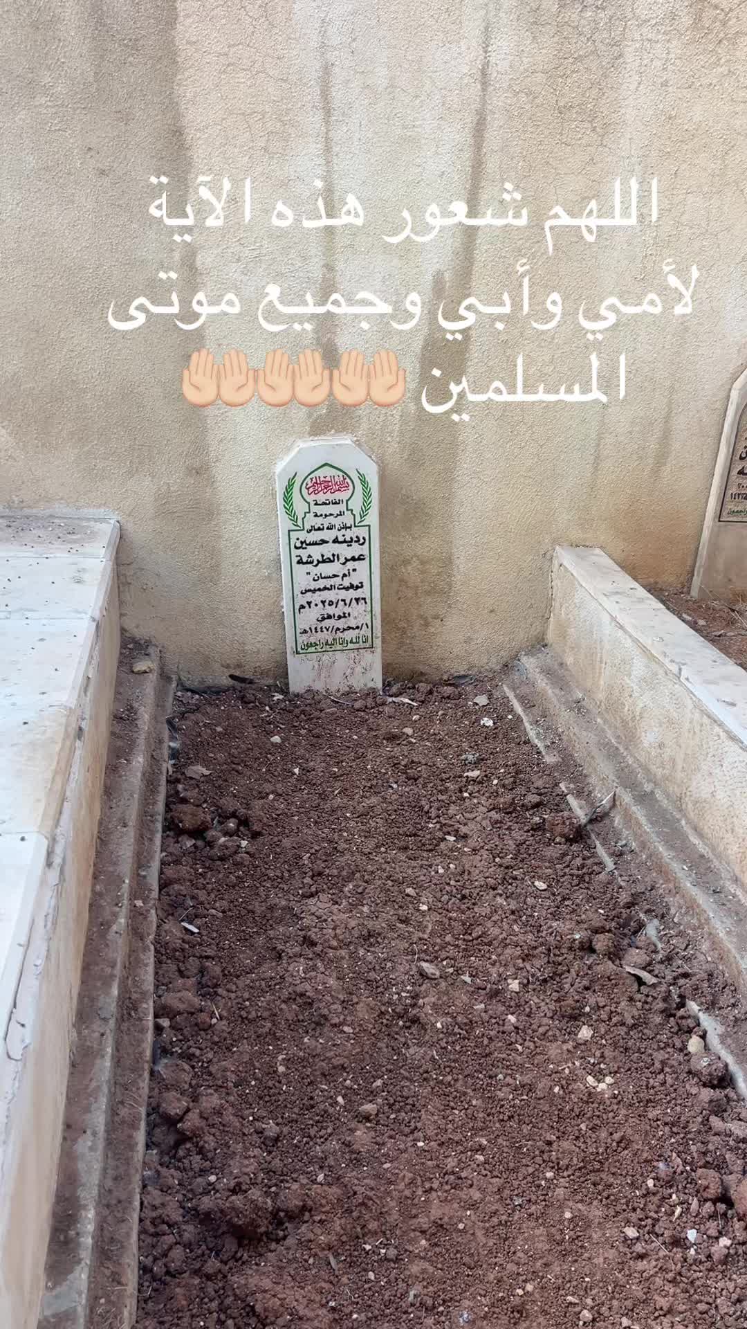 @Hasan S Afana