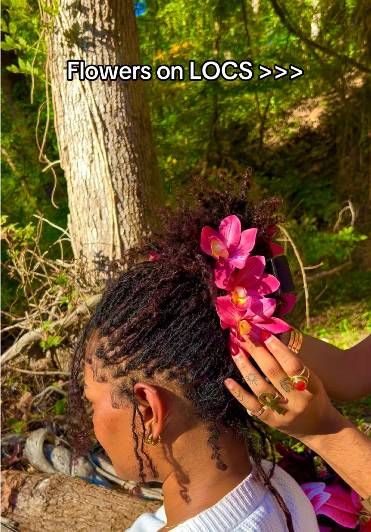 @DreamyP 🇭🇹