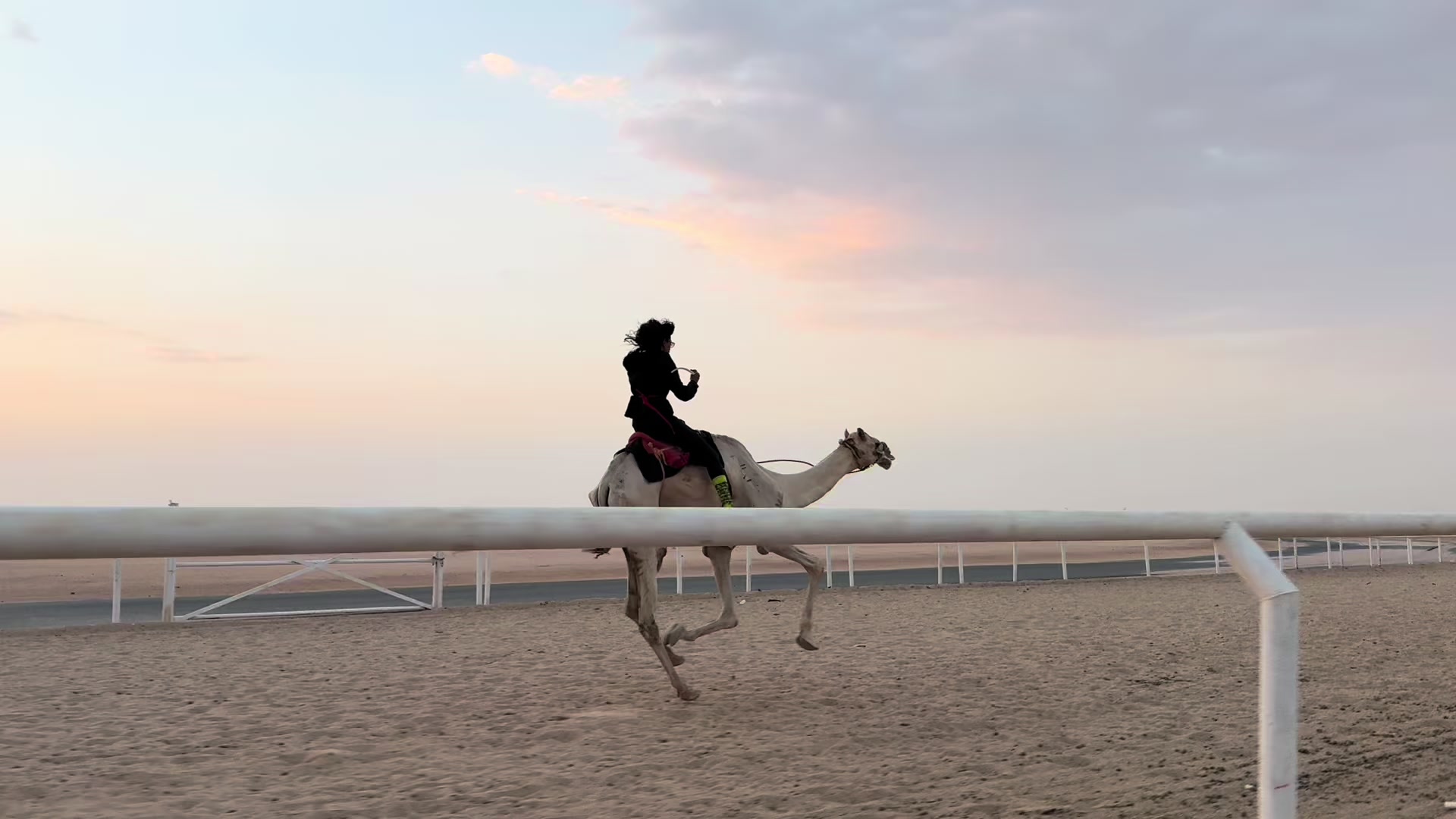 @سمو العجمي 🤪