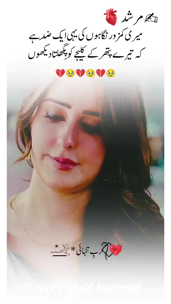 @shahzadshaukat13