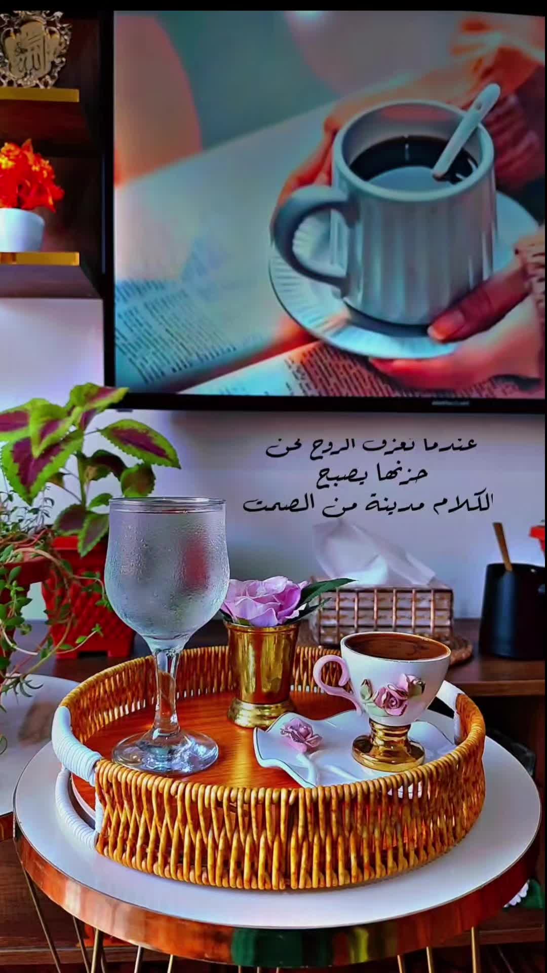 @عبير الورد🍃❤️