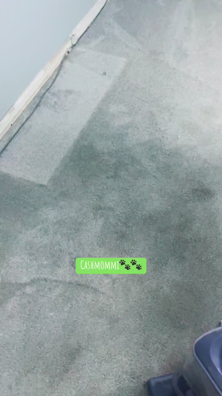 @CashmommiVacs