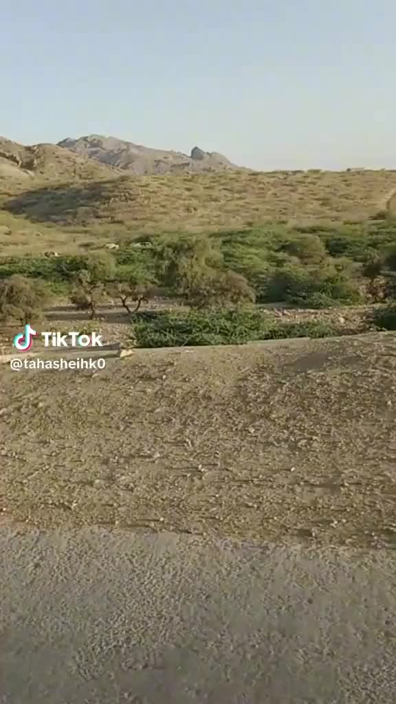 @Taha shaikh