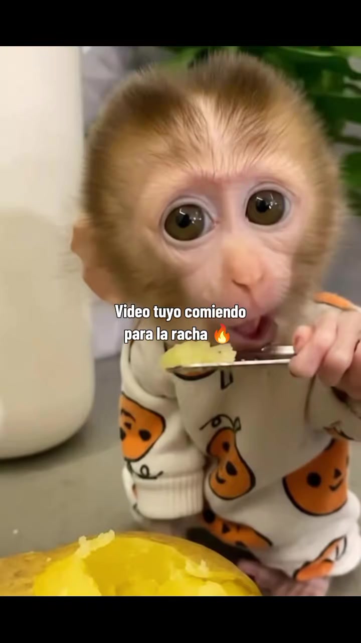 @RabPesito 🔥