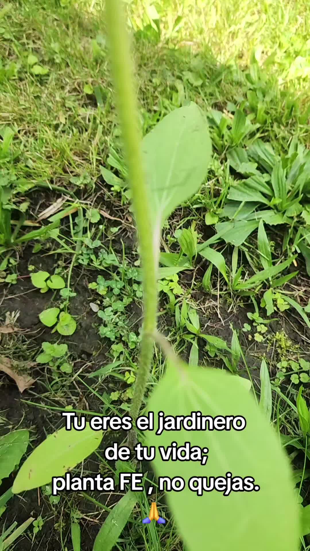 @𝙇𝙪𝙞𝙞502👨&zwj;🌾