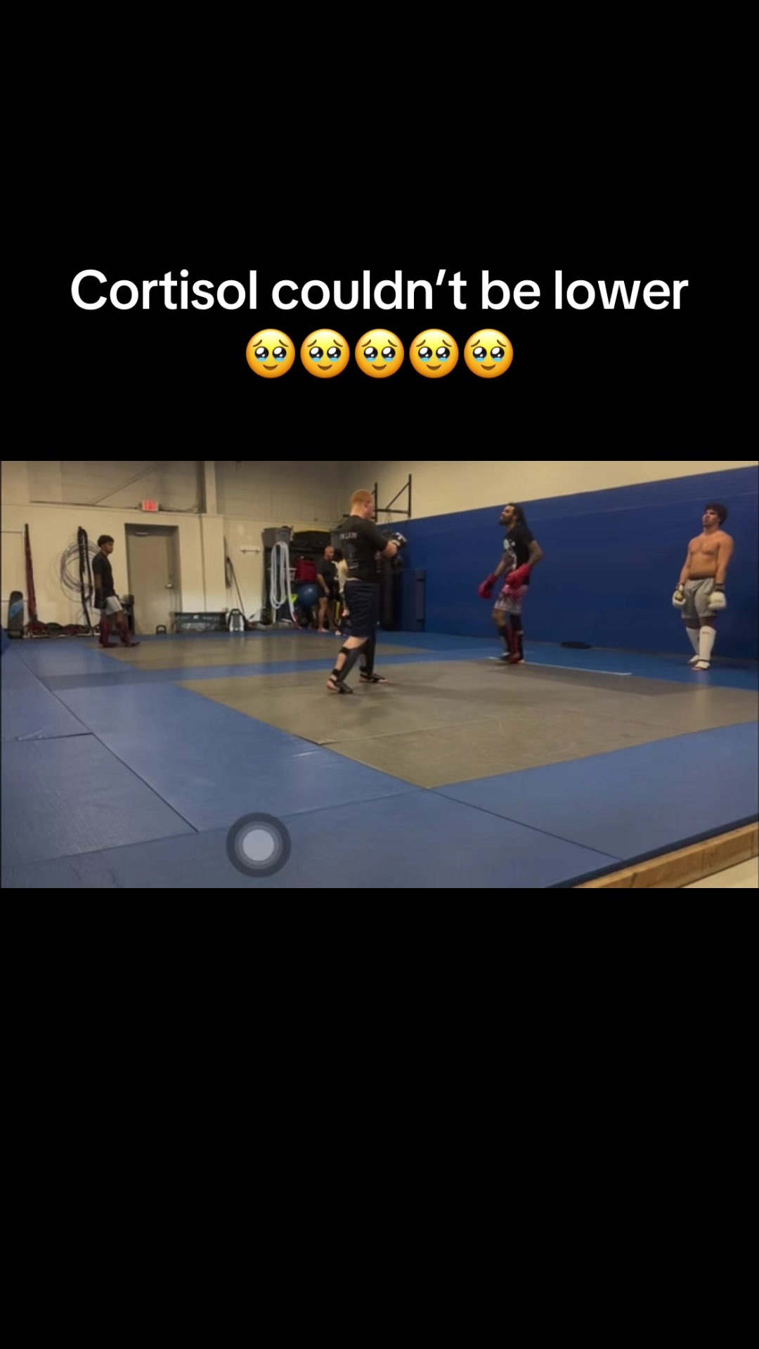 @fighting ish