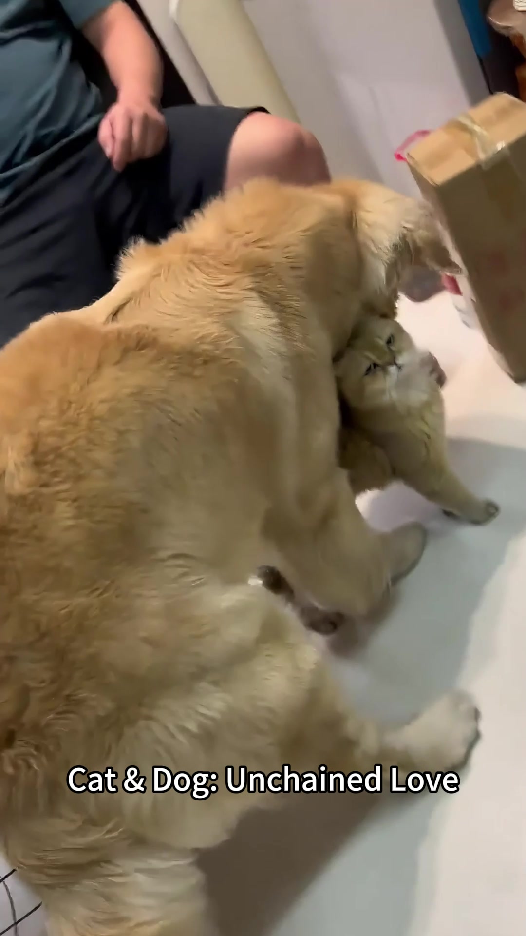 @petpro69