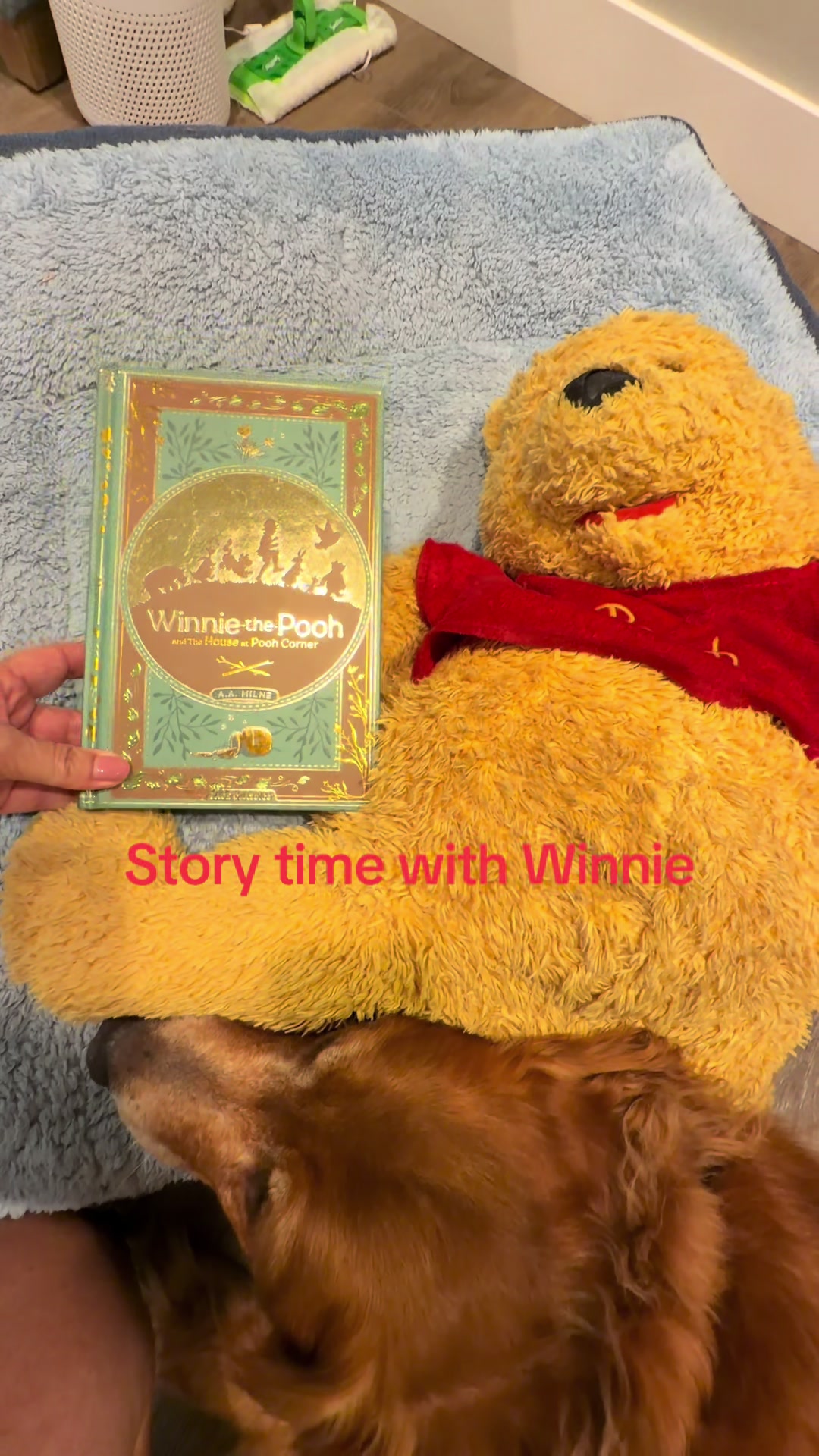 @2goldensandacat