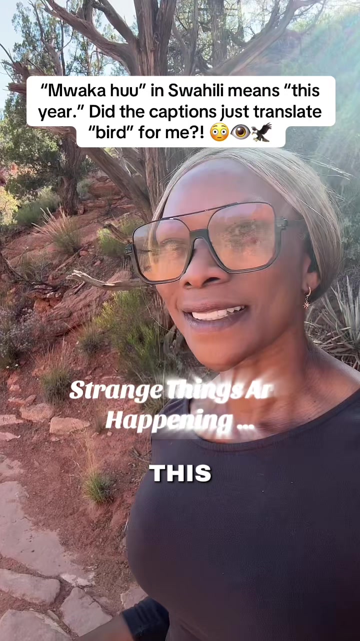 @Noella D. Risley