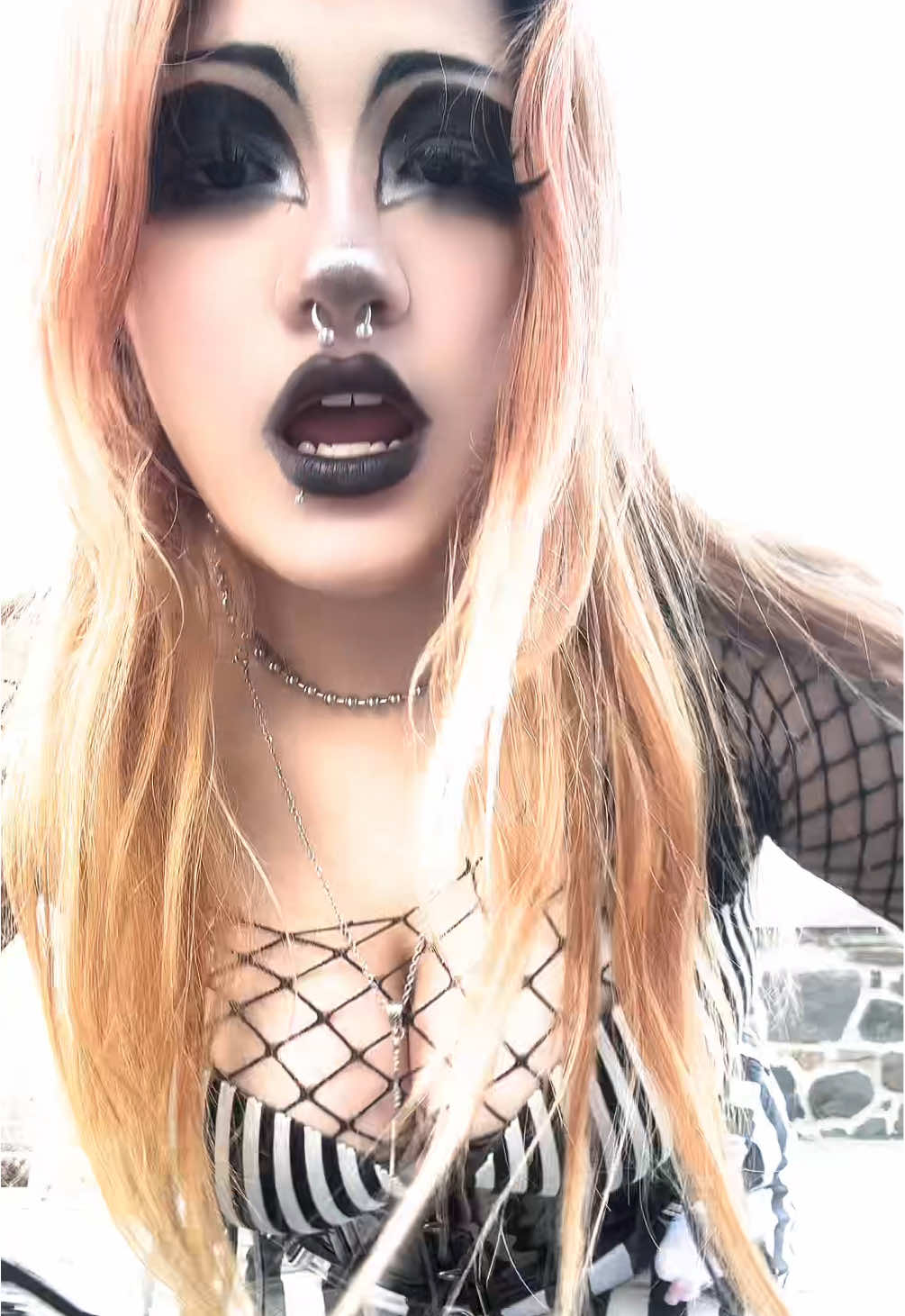 @rexi🐾🦈