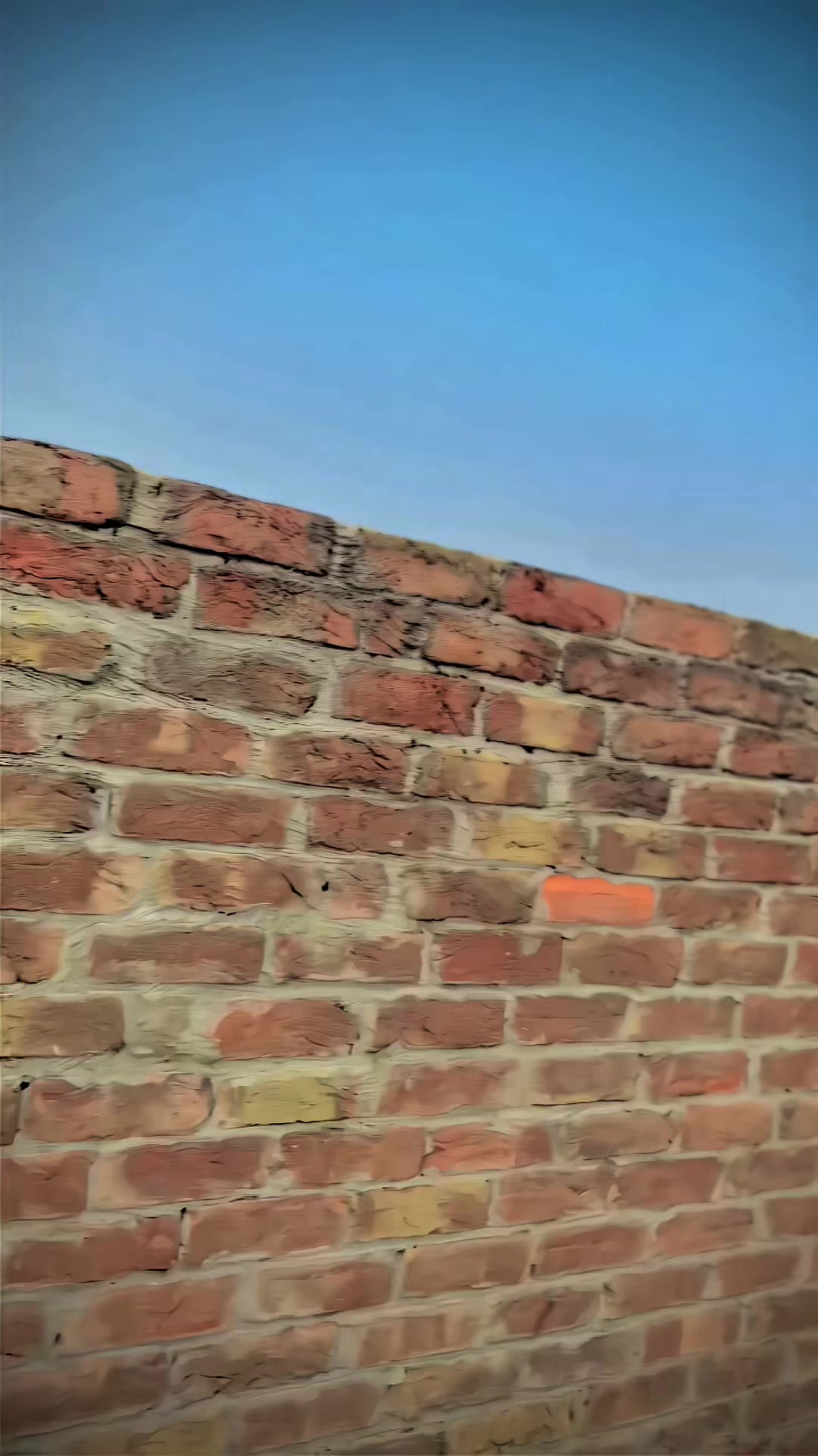 @🦅 راحیــل بلـوچ وہاڑی والا