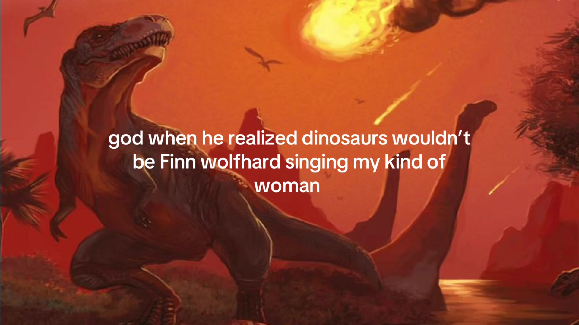 @finnwolfhardcorefan