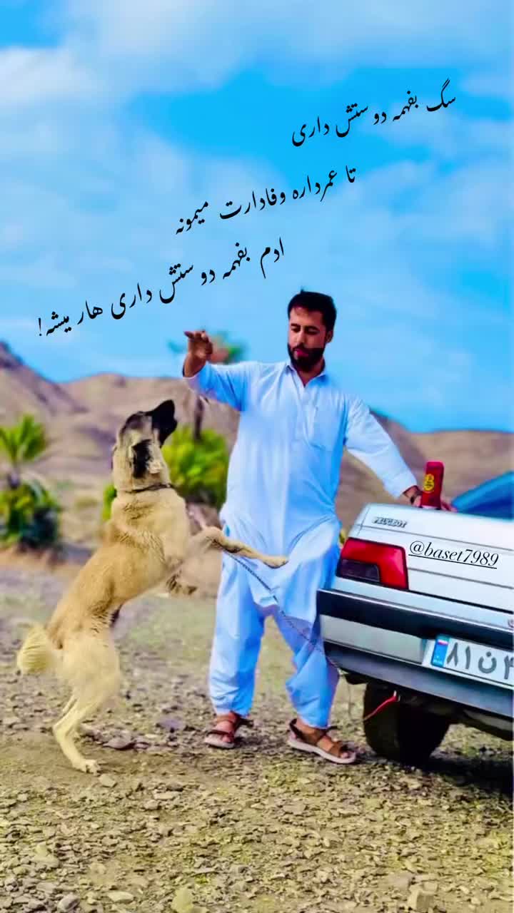 @ba3et7989