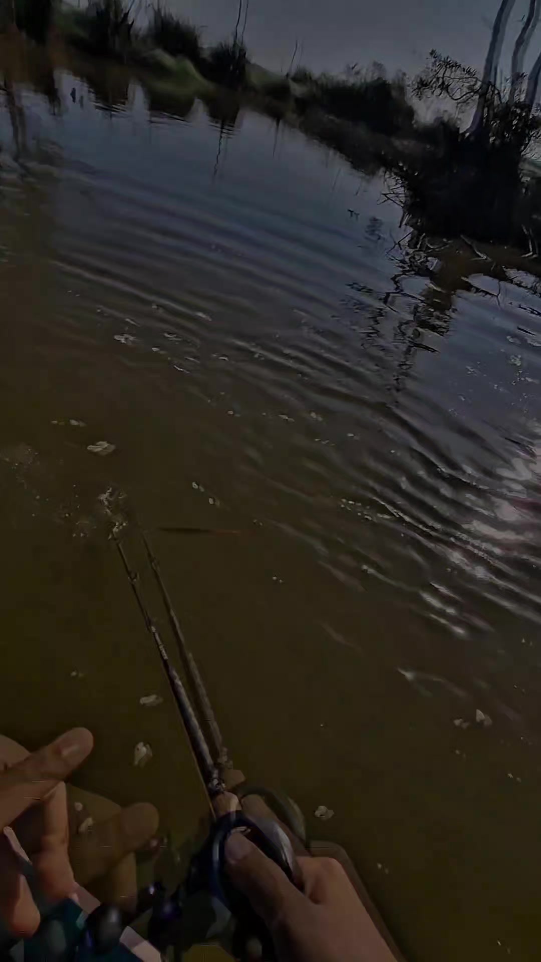 @TungFishing