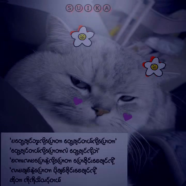 @Ⓢⓤⓘⓚⓐ