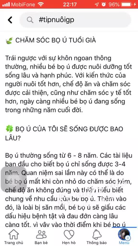 @Nhà Bé Lolo