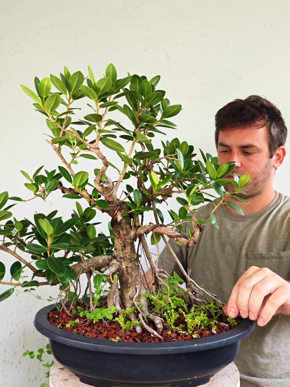 @Bryan Loves Bonsai