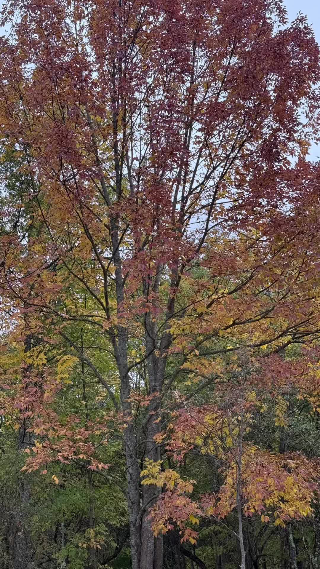 @A beautiful life to enjoy
