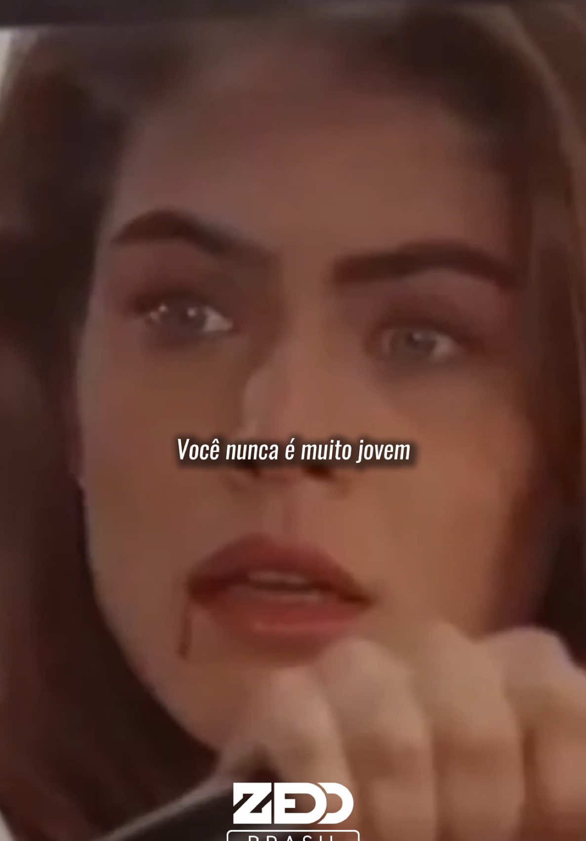 @Zedd Brasil