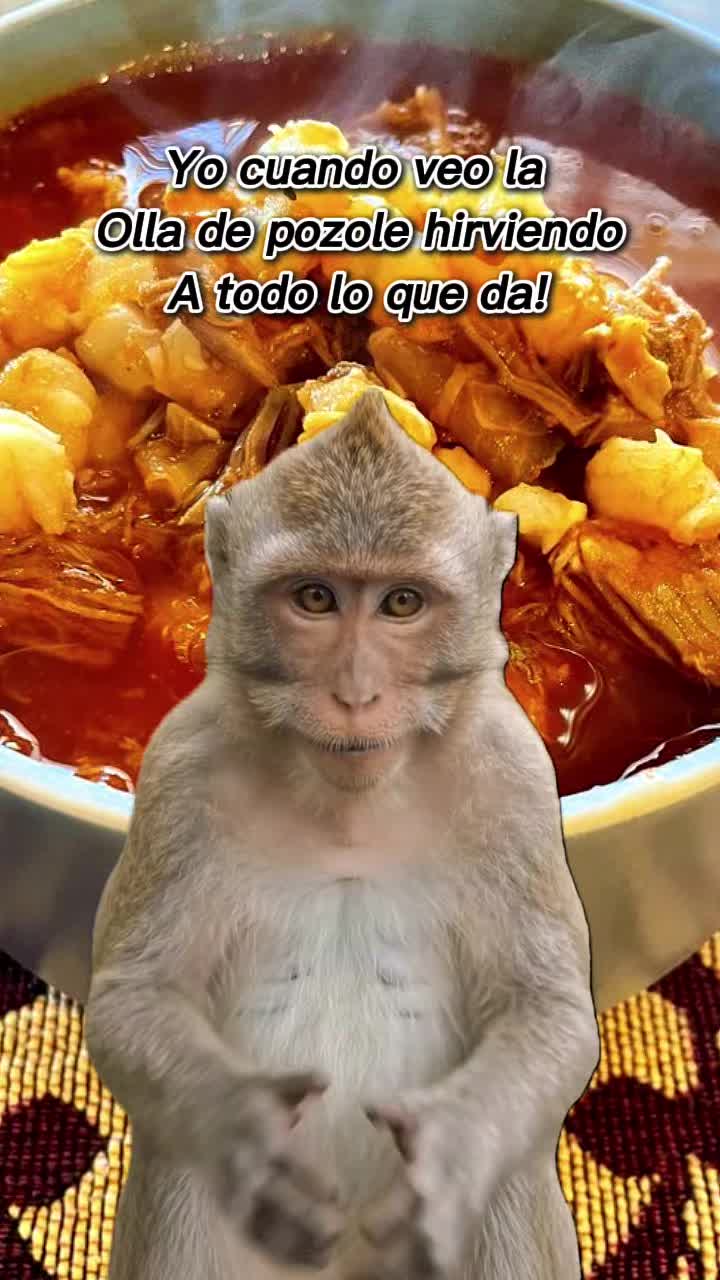 @JIbarra