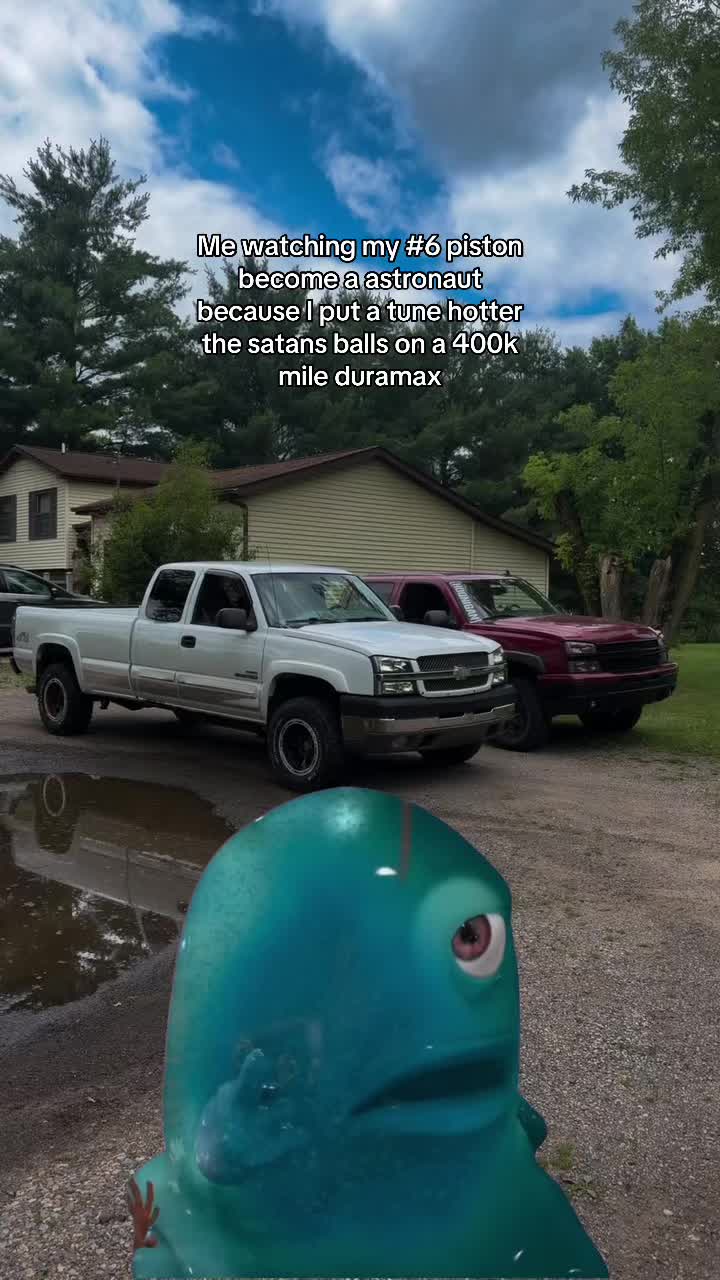 @snowhitelly0