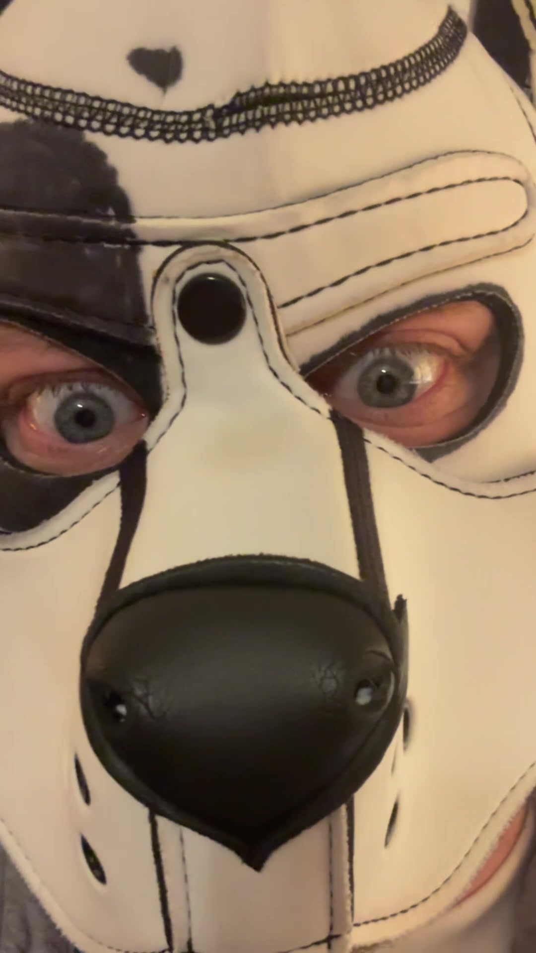 @Blitz