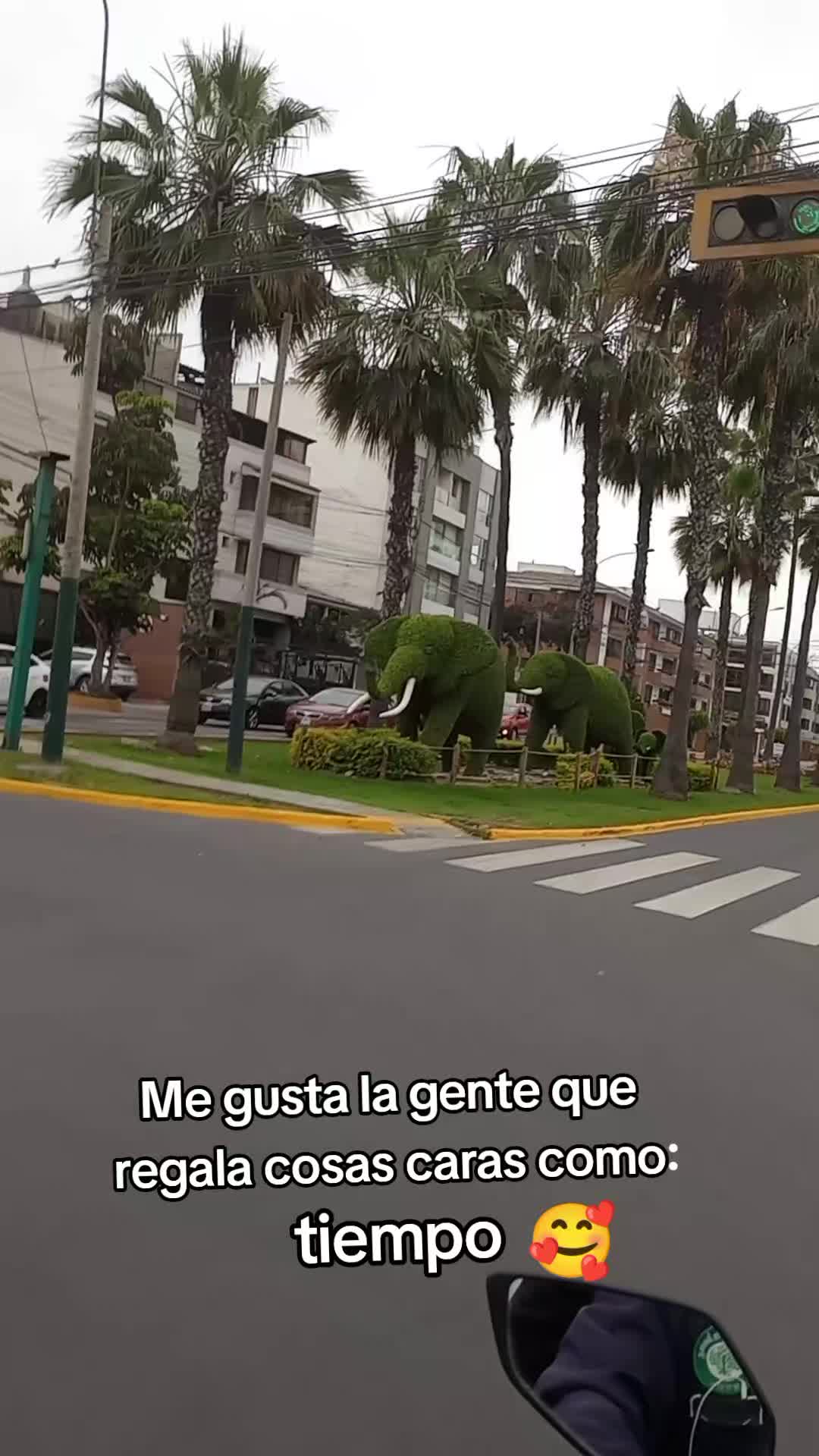 @ELiana 80