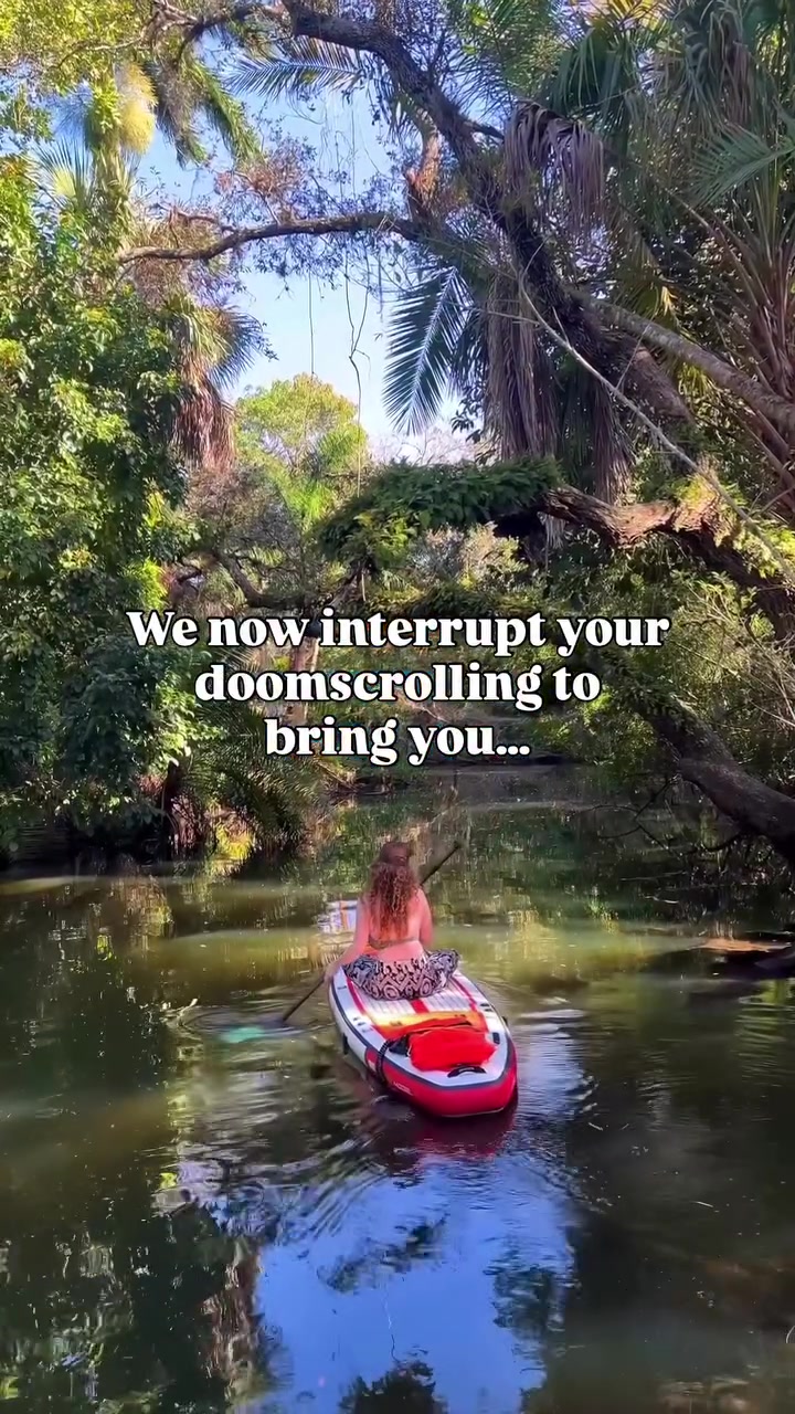 @Must See Florida