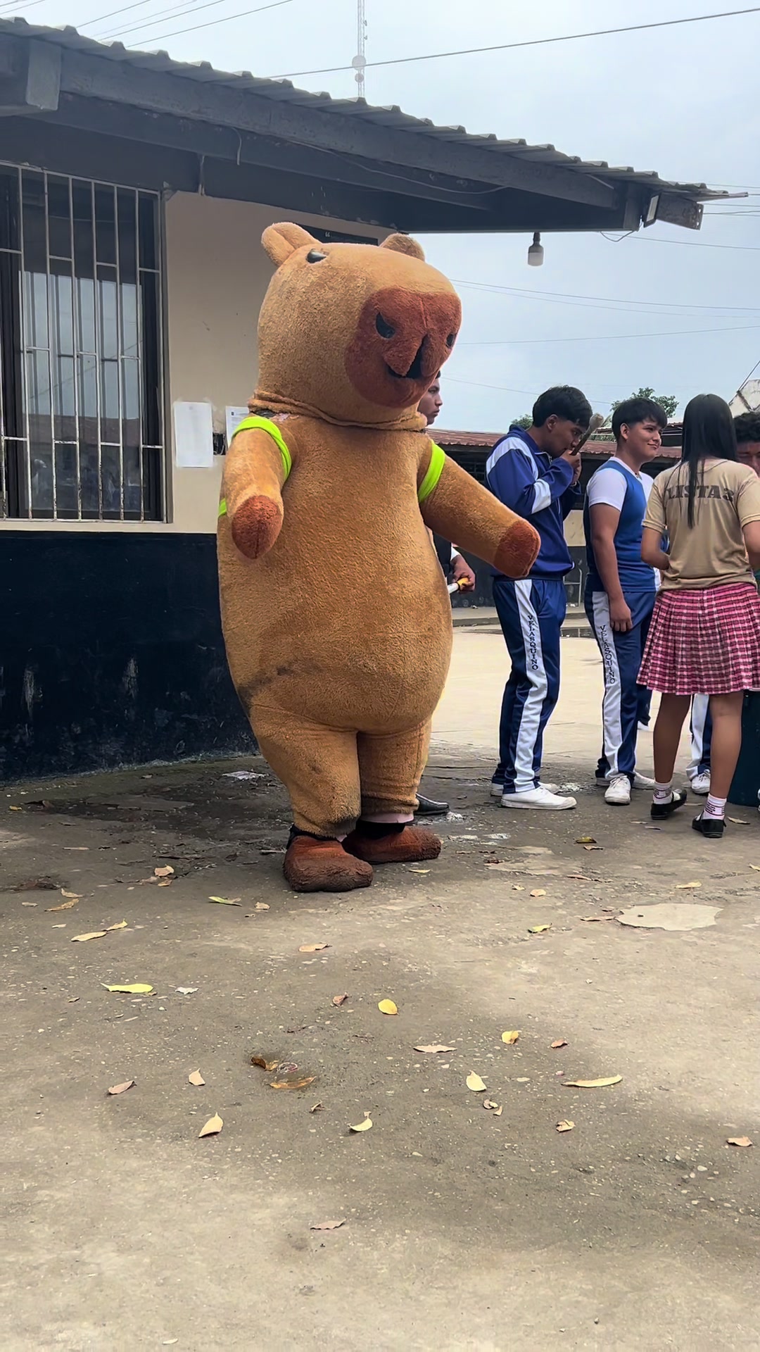 @Maykel🇧🇷🥷