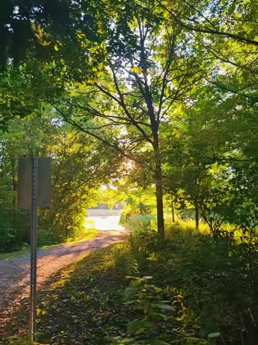 @I Love Nature