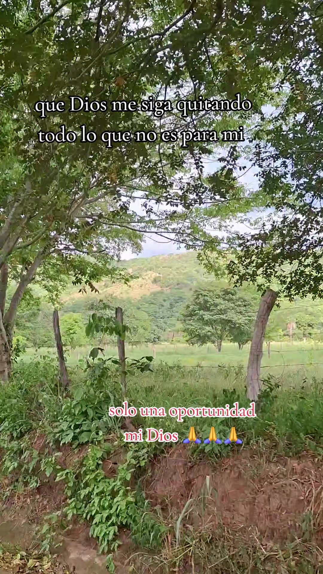 @Jhanderson Hernández