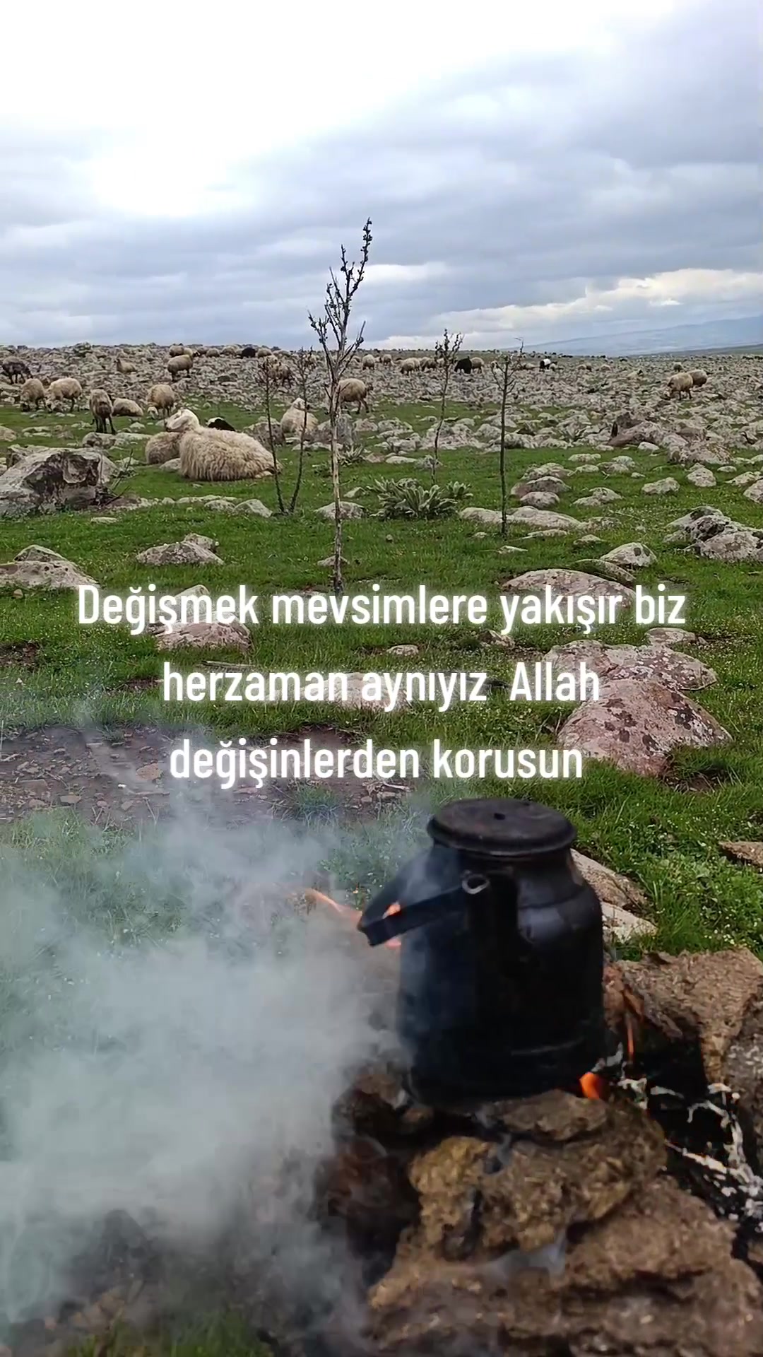 @Süleyman21 🐊🐊