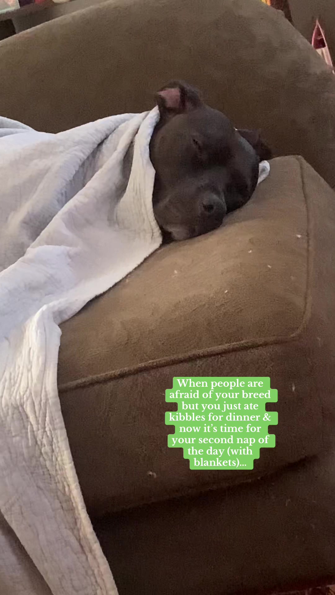 @sirsycamore