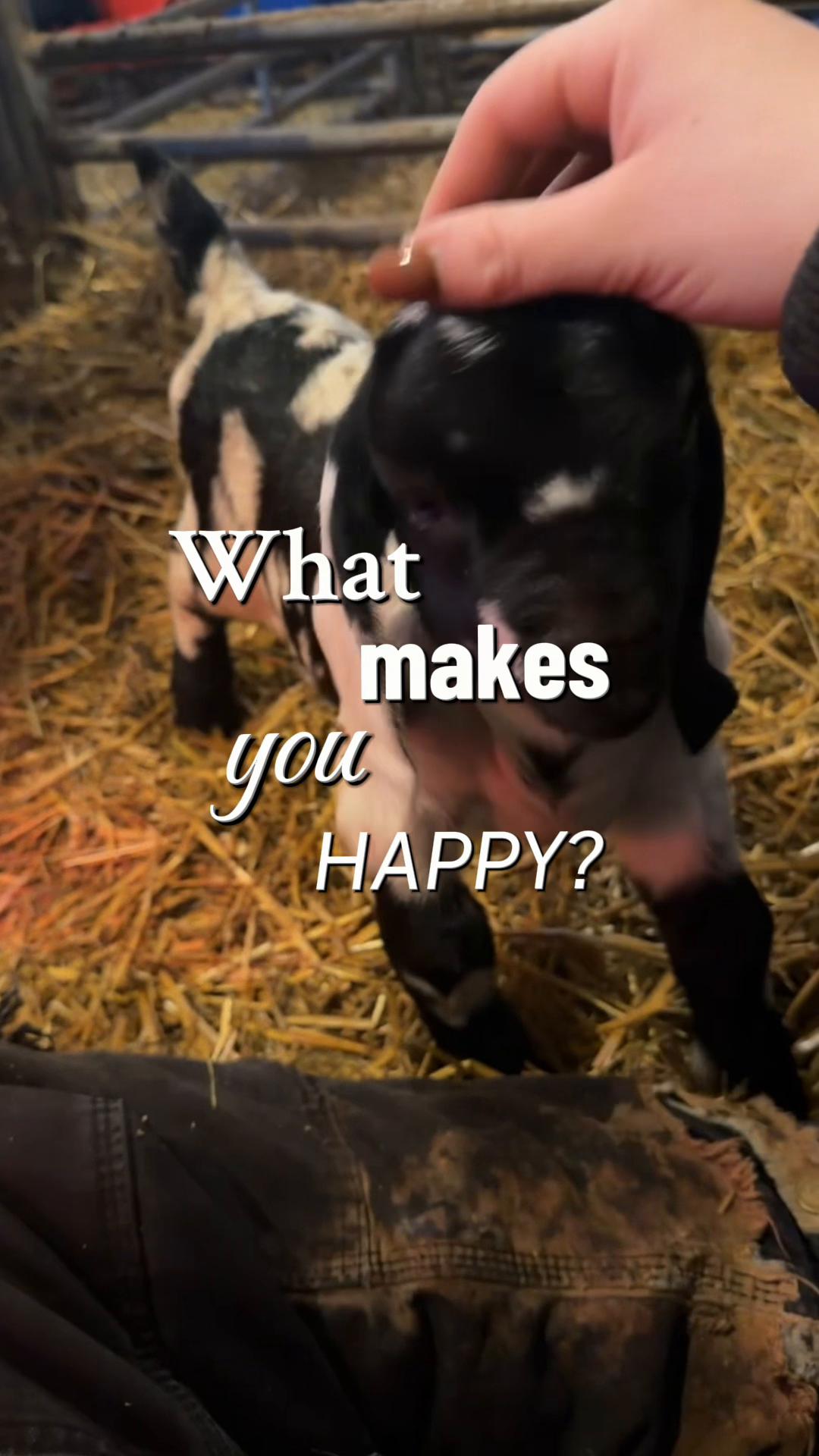 @Jmertinsfarm