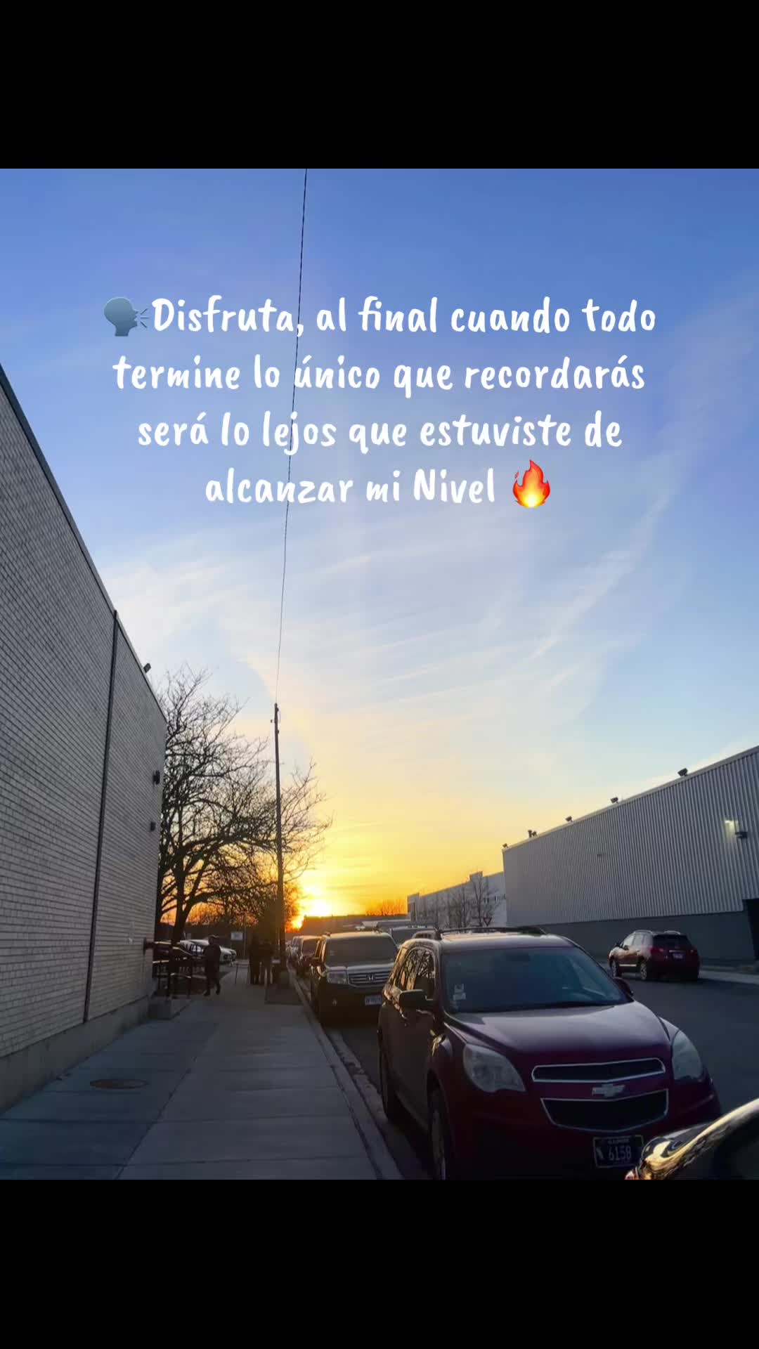 @ZDavid🦅