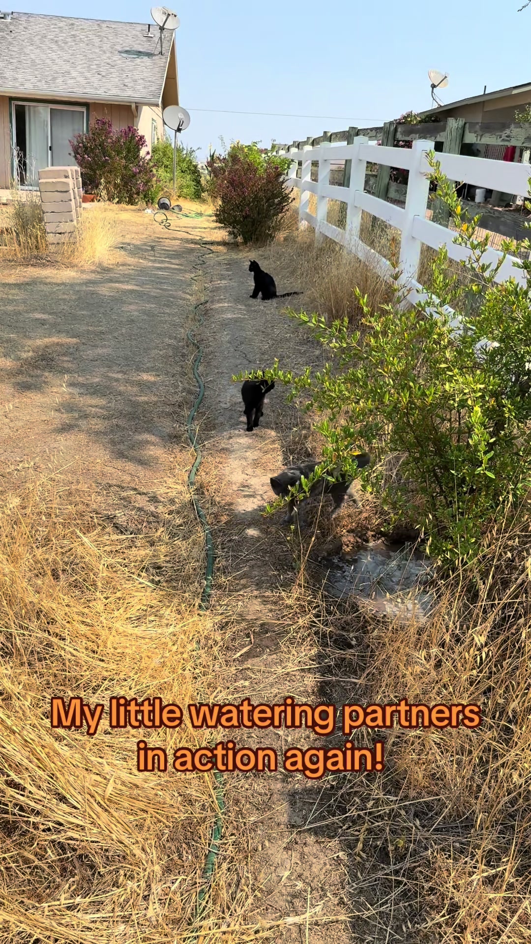@kylie.m.adventures
